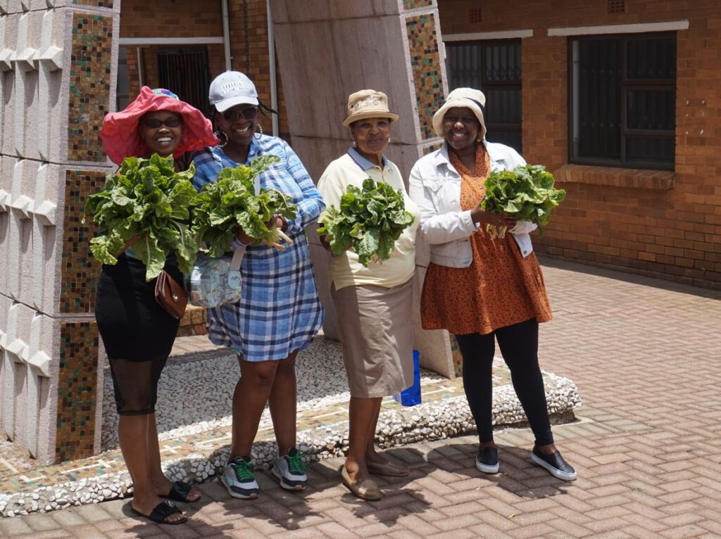 Immer mehr Kolpingsfamilien in Südafrika werden zu Kleinbauern, um ihre Familien gesund zu ernähren und die überschüssige Ernte zu verkaufen. Gartenprojekte gibt es auch in der Großstadt.